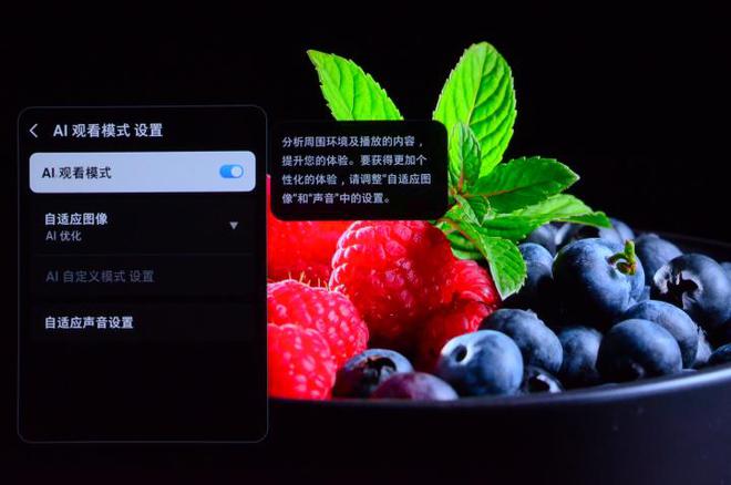 5F评测：让家中大屏成为我们的智慧伙伴AG真人试玩平台三星OLED电视S9(图8)